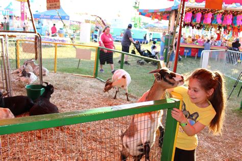 On the latch petting zoo  Open from 11am to 7pm